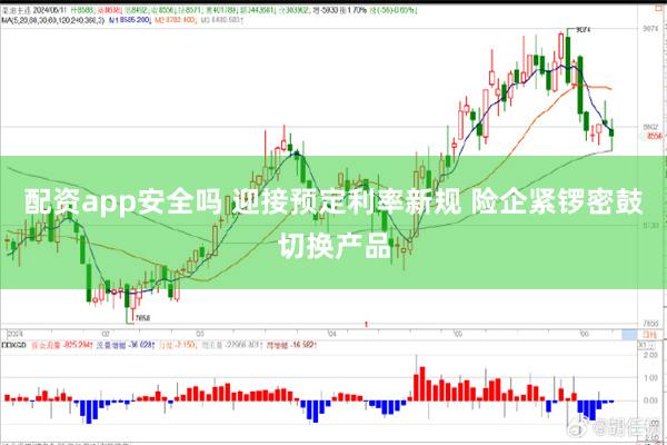 配资app安全吗 迎接预定利率新规 险企紧锣密鼓切换产品