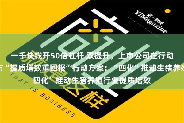 一千块钱开50倍杠杆 双提升，上市公司在行动丨神农集团发布“提质增效重回报”行动方案：“四化”推动生猪养殖行业提质增效