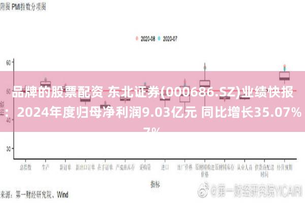 品牌的股票配资 东北证券(000686.SZ)业绩快报：2024年度归母净利润9.03亿元 同比增长35.07%