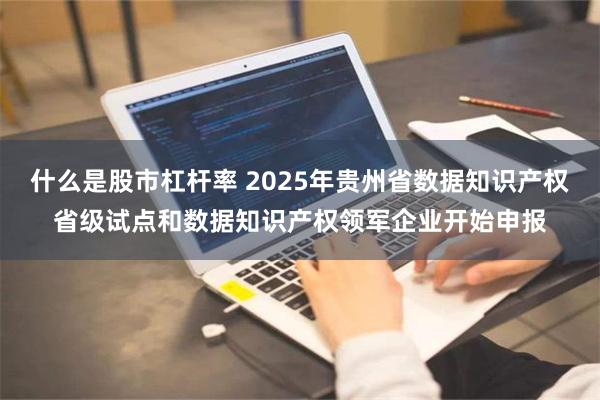 什么是股市杠杆率 2025年贵州省数据知识产权省级试点和数据知识产权领军企业开始申报