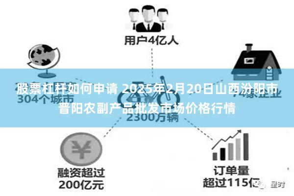 股票杠杆如何申请 2025年2月20日山西汾阳市晋阳农副产品批发市场价格行情